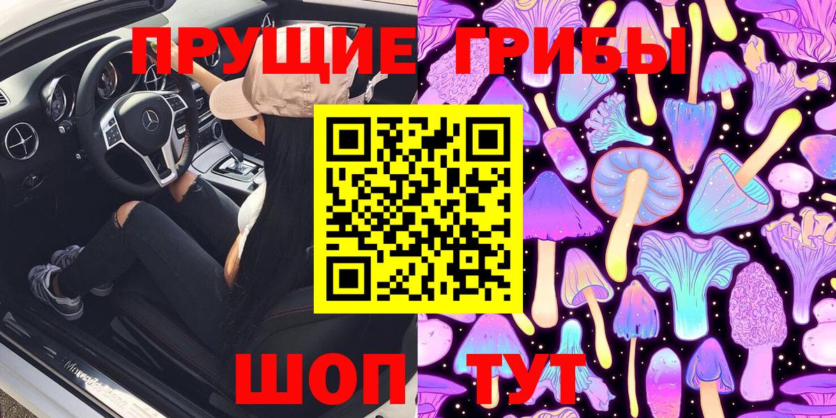 Псилоцибиновые грибы GOLDEN TEACHER  продажа наркотиков  Советская Гавань  Вход с VPN 